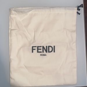 Fendi shoes bag!!